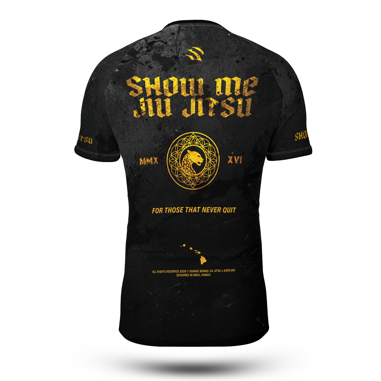 Back_cf5aa25d-0f3c-4c17-ad79-19a6737524c2.png