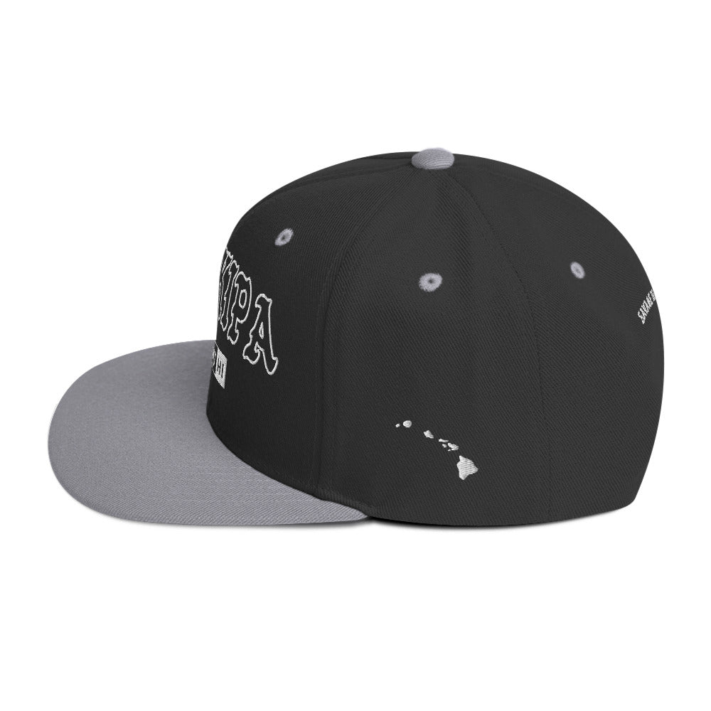 HoʻOkipa Snapback Hat — Black/ Silver — left side view