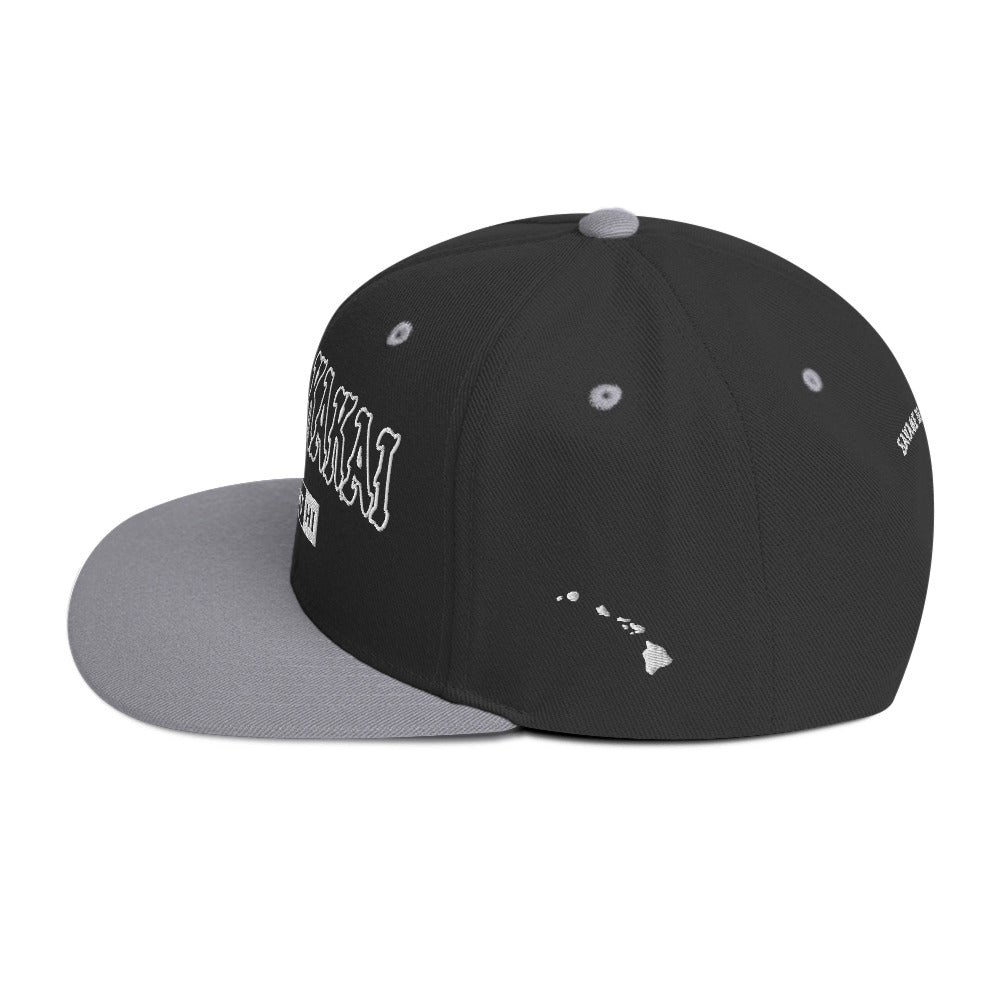 Kaunakakai Snapback Hat — Black/ Silver — left side view