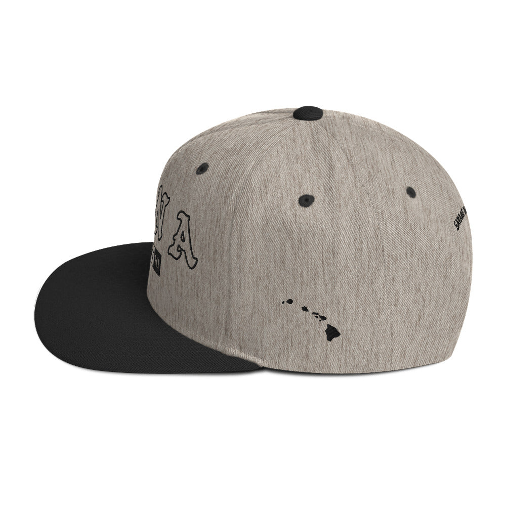 Hāna Snapback Hat — Heather/Black — left side view