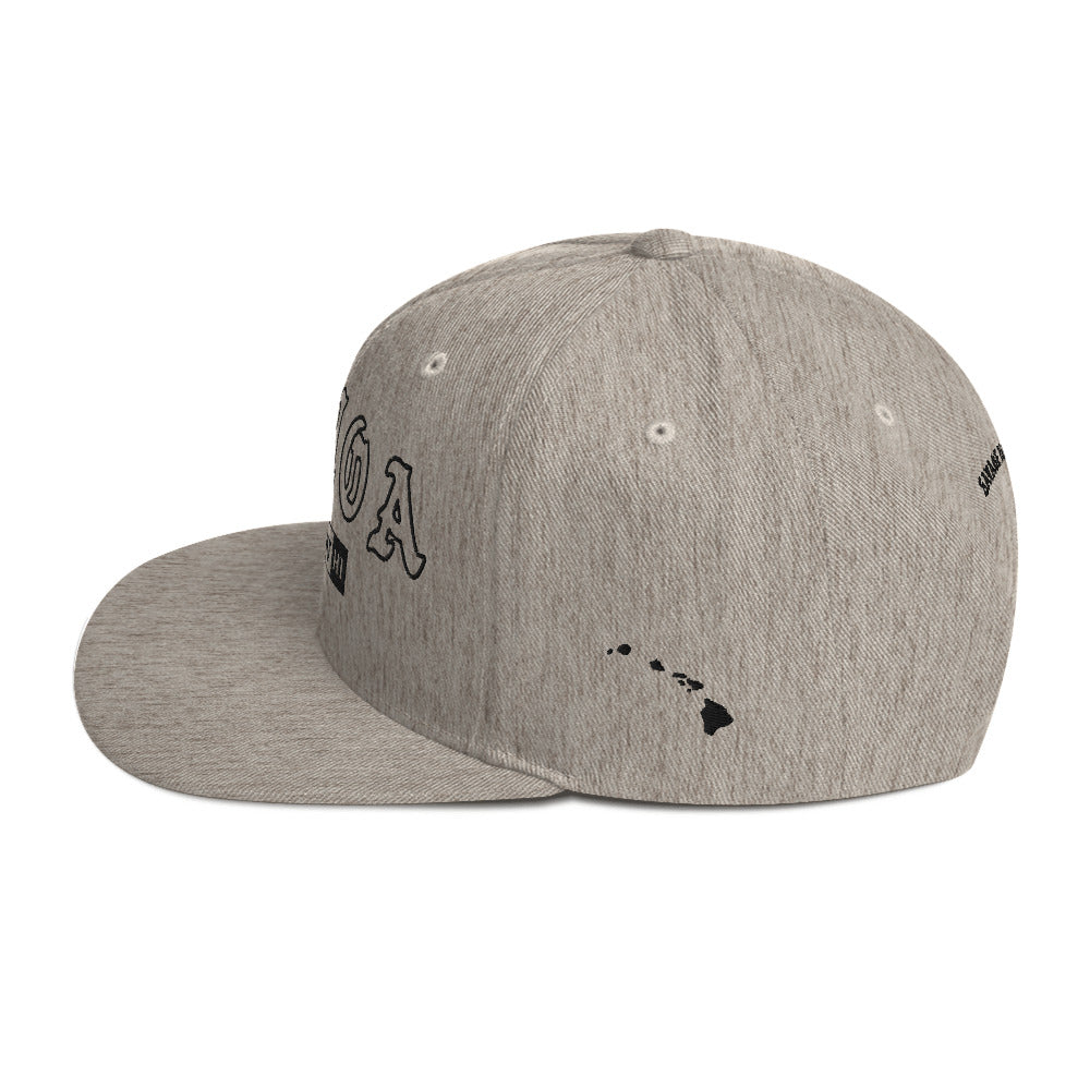 Pāhoa Snapback Hat — Heather Grey — left side view