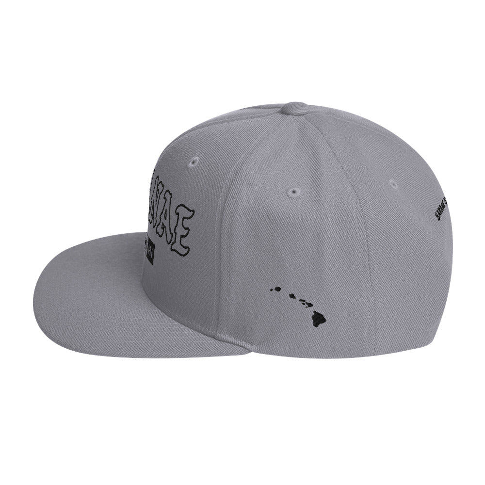 WaiʻAnae Snapback Hat — Silver — left side view